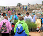 JNF Tree Planting Day